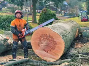 Florian Huster führt eine professionelle Baumfällung mit Schutzausrüstung durch
